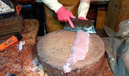 杀鱼视频,揭秘残忍捕捞过程