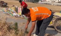 收麦子视频,收麦子视频背后的故事